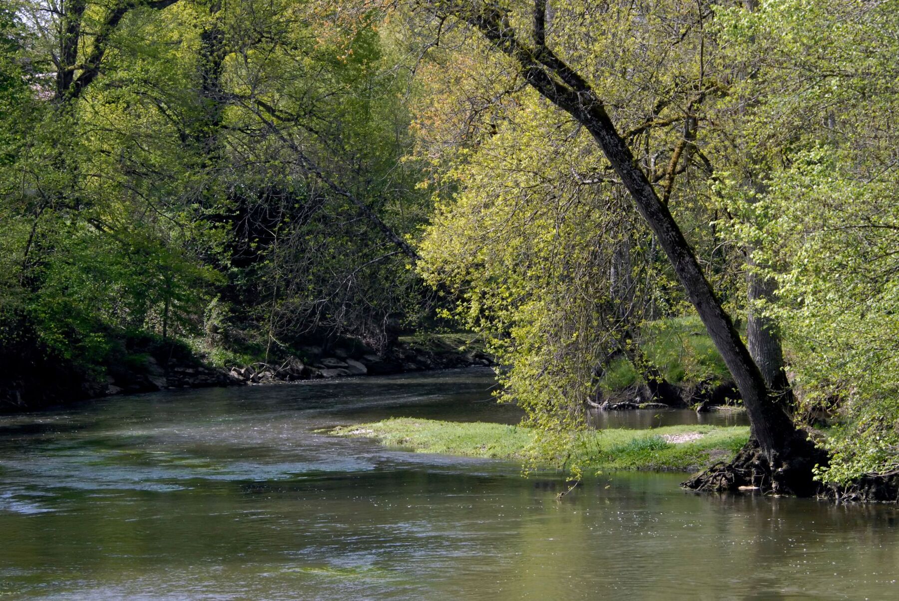 BARNES Lodges and Forests