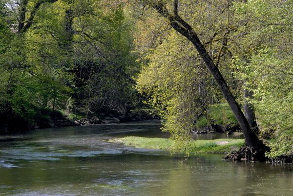 BARNES Lodges and Forests