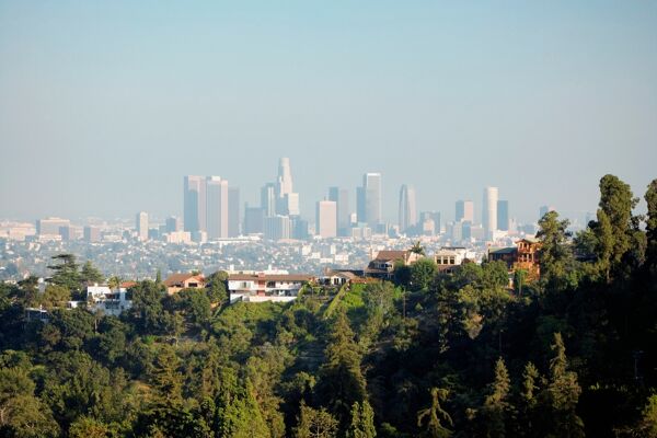 BARNES Mexico City
