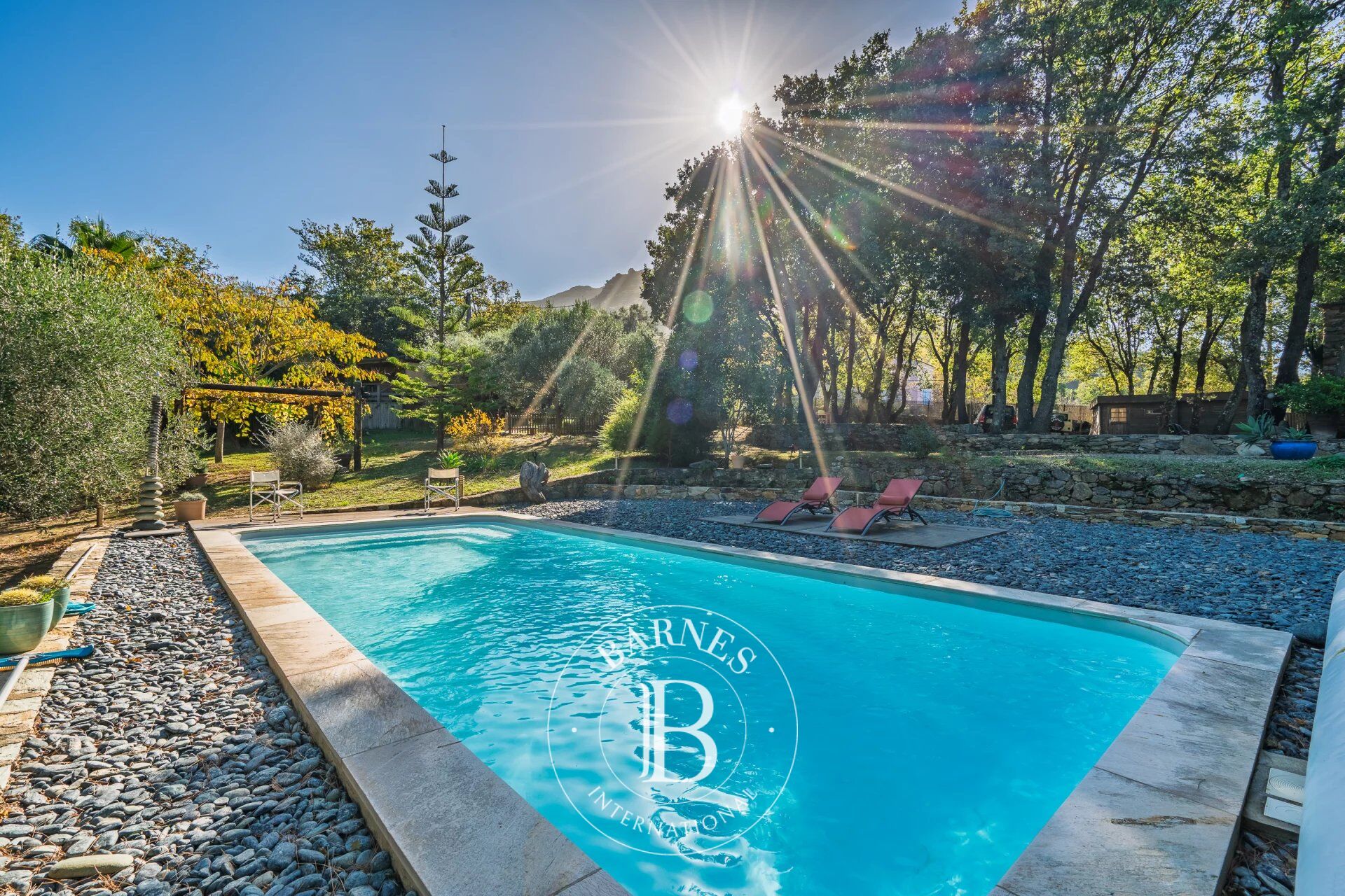 Casa Barbaggio - picture 2