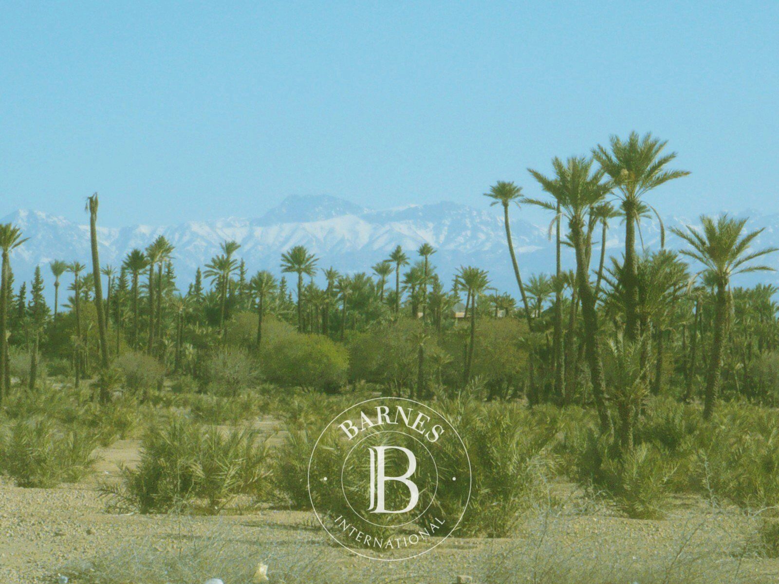 Land for sale at the Palmeraie Circuit in Marrakech. - picture 1