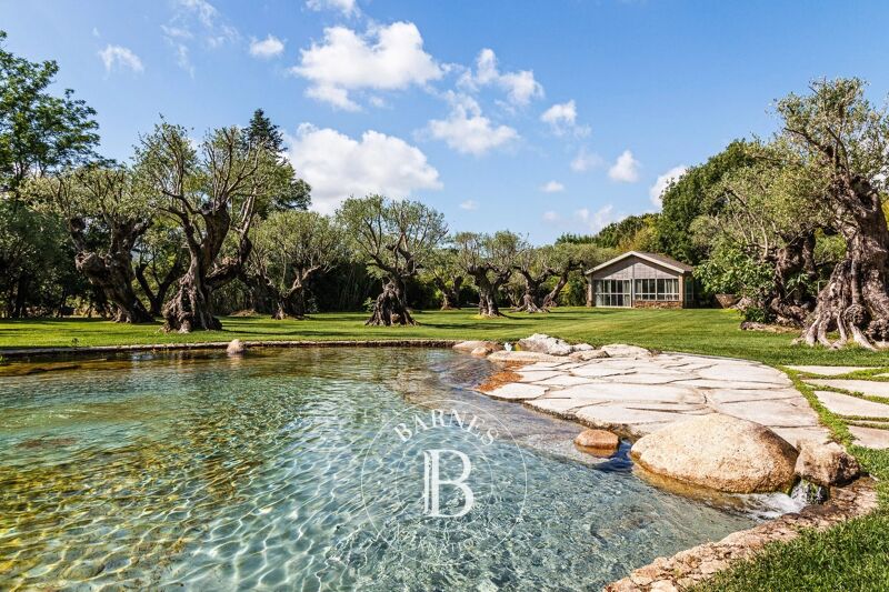 Affitto, Villa Gassin - picture 1