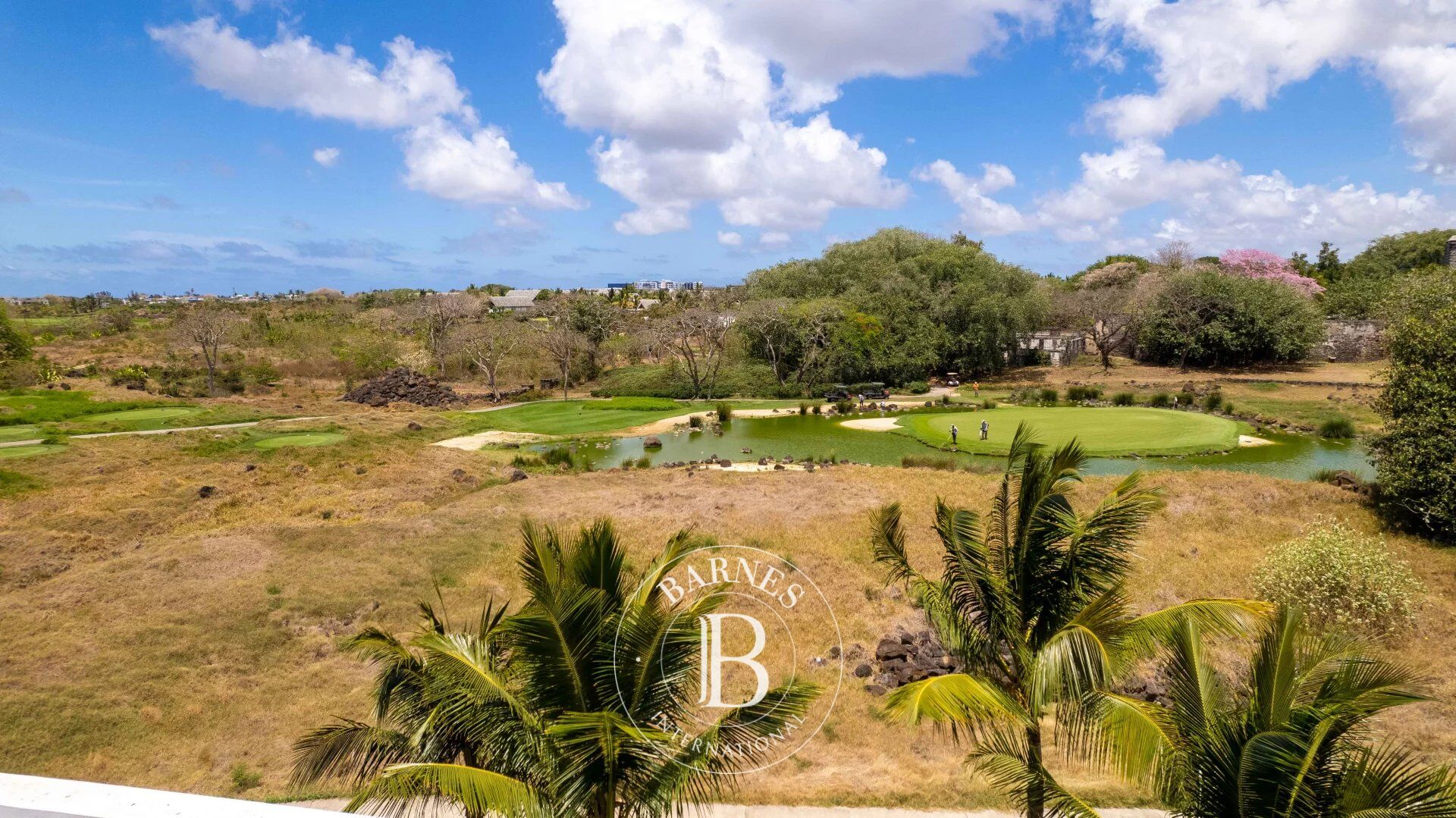 Penthouse Grand Baie - picture 7