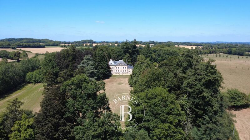 Venta, Castillo Saint-Mesmin - picture 1