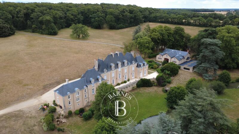 For Sale, Castle Iteuil - picture 2