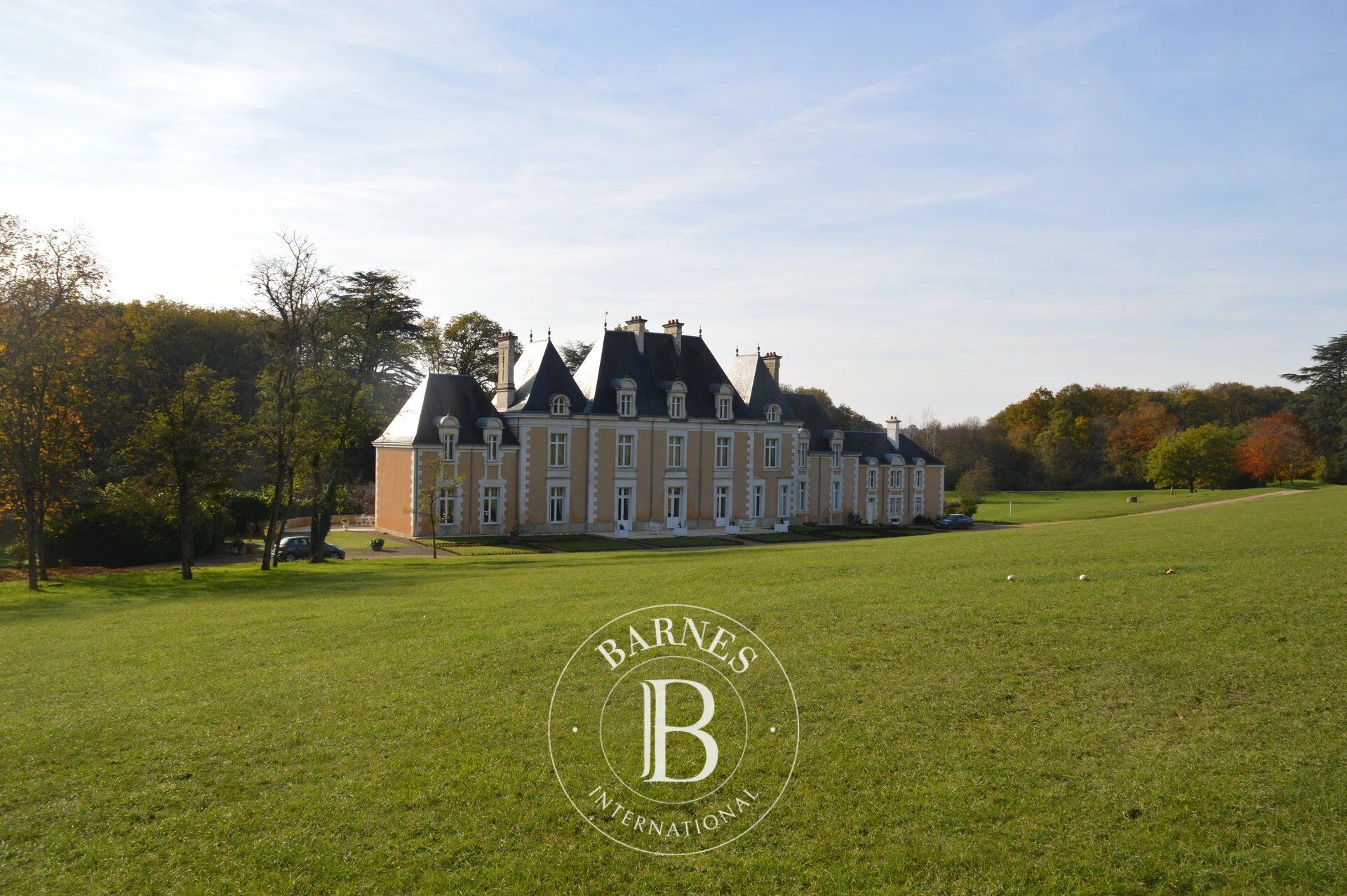 Poitiers - Luxurious 19th century chateau fully furnished - Property of 75 hectares - picture 3