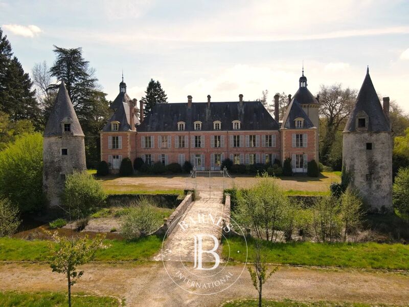 Venta, Castillo Theillay - picture 1