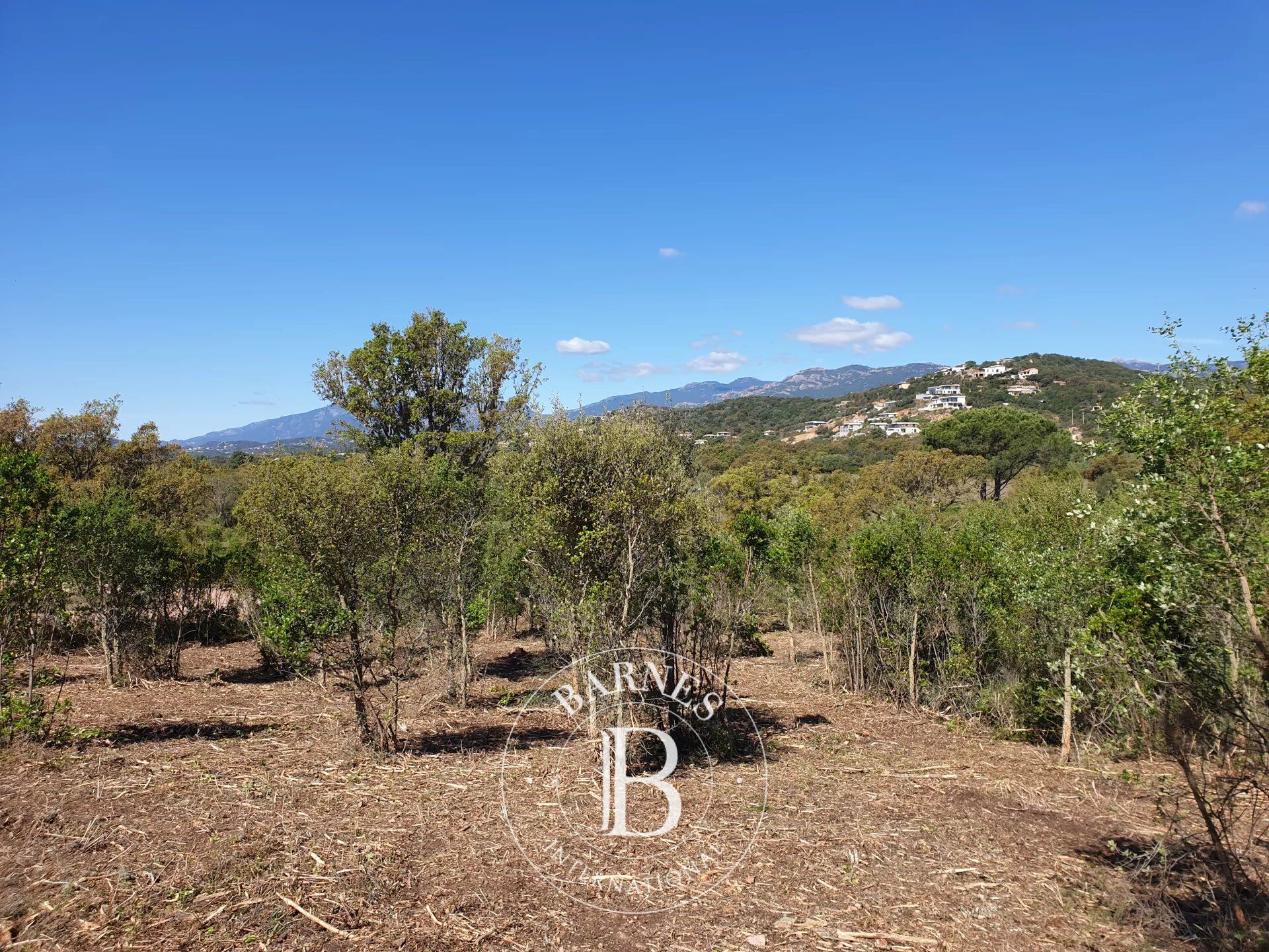 Terreno urbanizable Sainte-Lucie-de-Porto-Vecchio - picture 3