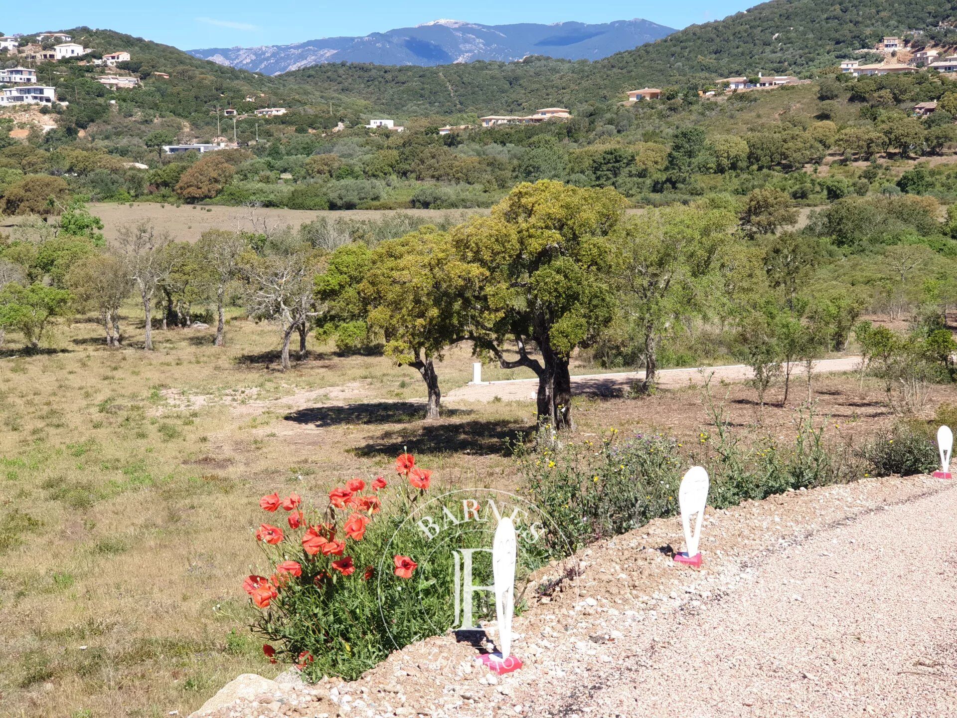 Terreno urbanizable Sainte-Lucie-de-Porto-Vecchio - picture 2