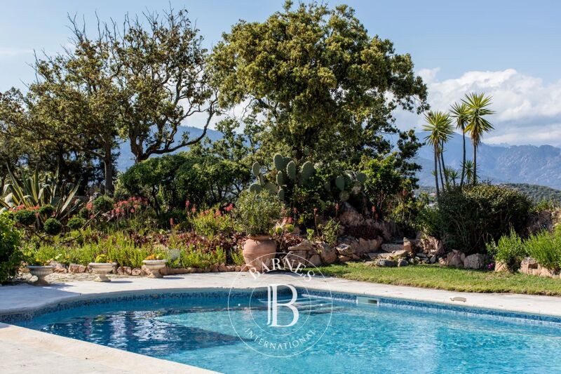 À louer Villa | Porto-Vecchio - picture 3