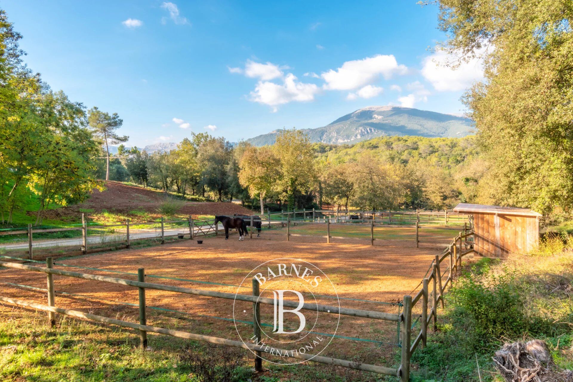 Venta Finca de equitación | Roquefort-les-Pins - picture 8