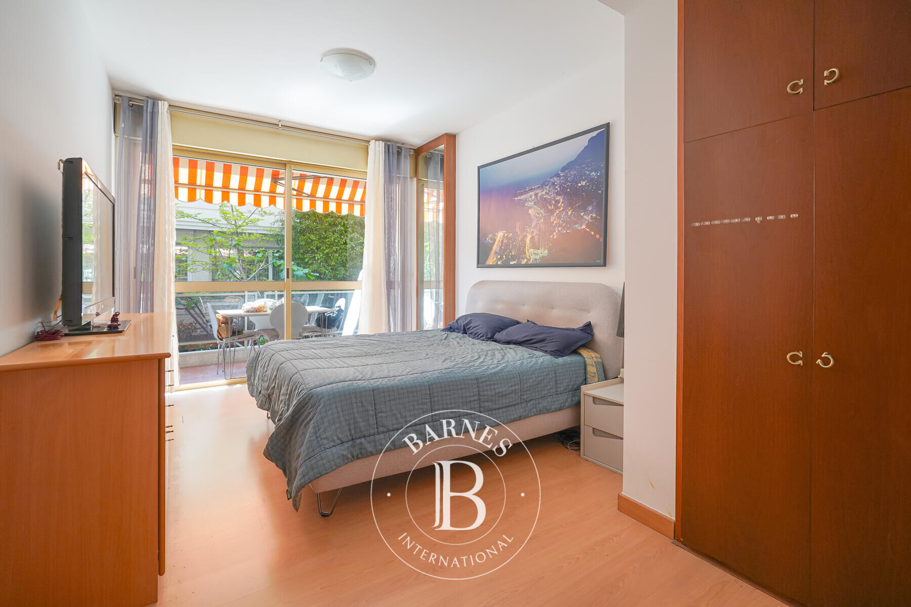 Daire Monaco - picture 8