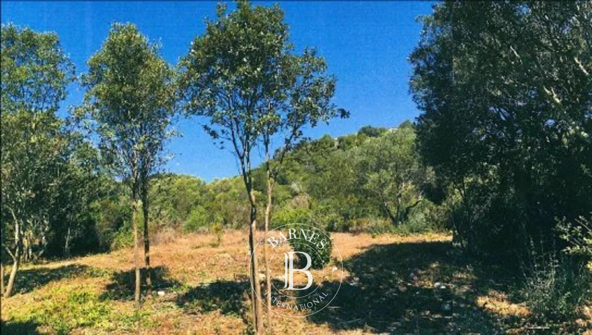 Grundstück Bonifacio - picture 3