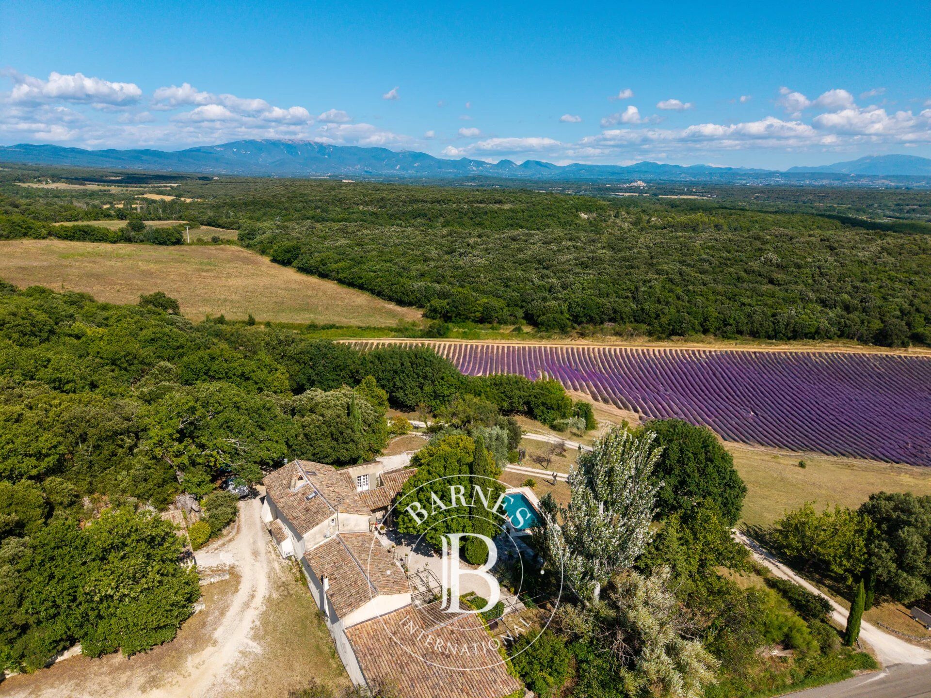 Barnes - Ensemble immobilier avec Mas du XVIe siècle - Trois bastidons - Trois cottages - 2 piscines - 4,4 hectares - picture 3