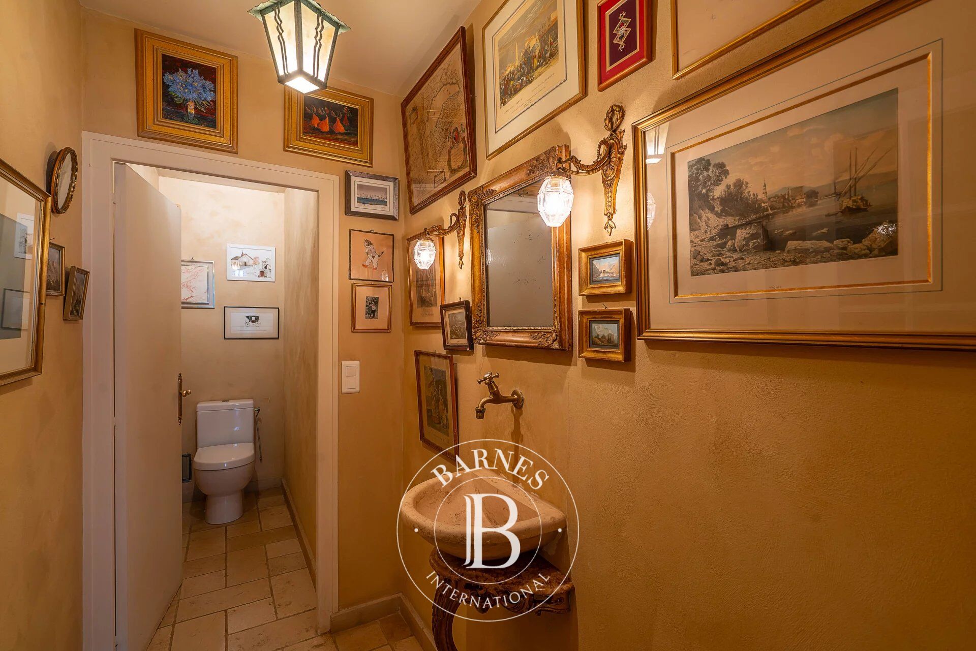 Ev Thonon-les-Bains - picture 13