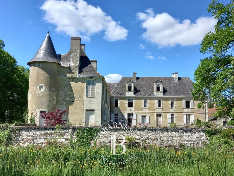 Venta Castillo | Châtellerault - picture 1
