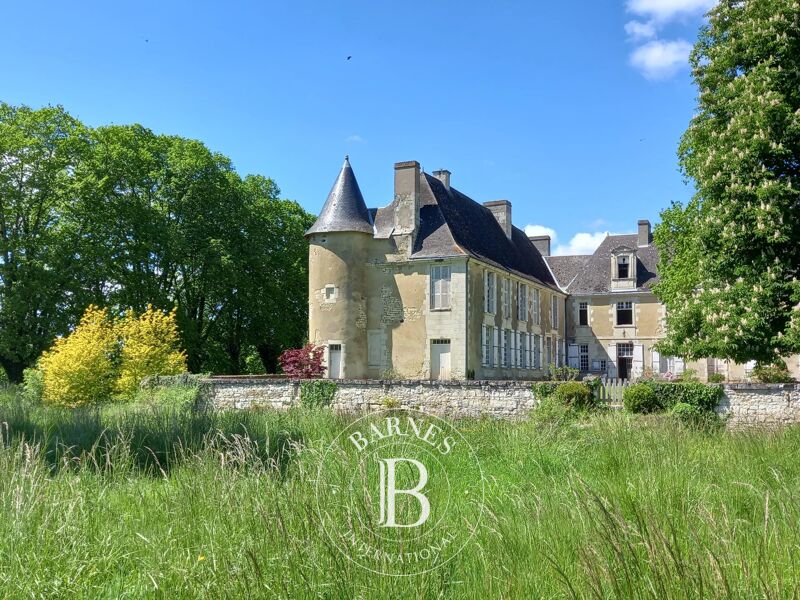 À vendre Château | Châtellerault - picture 1