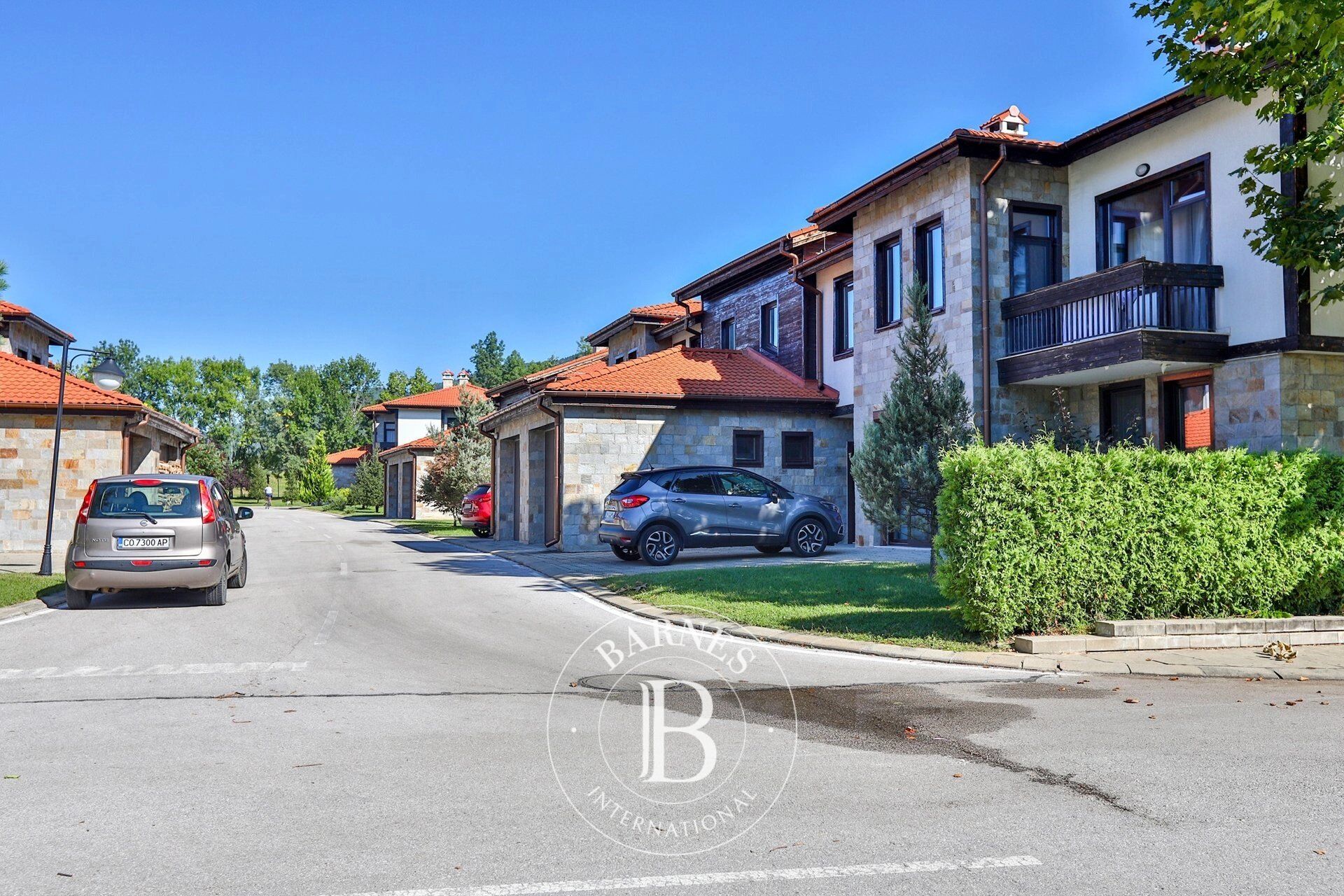 Ev Pravets - picture 20