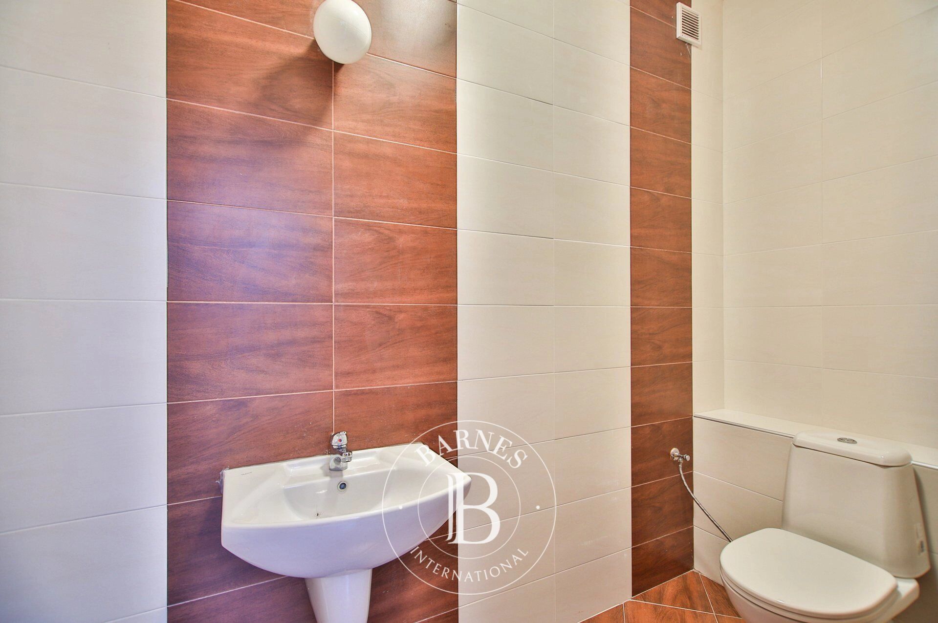 Ev Pravets - picture 9