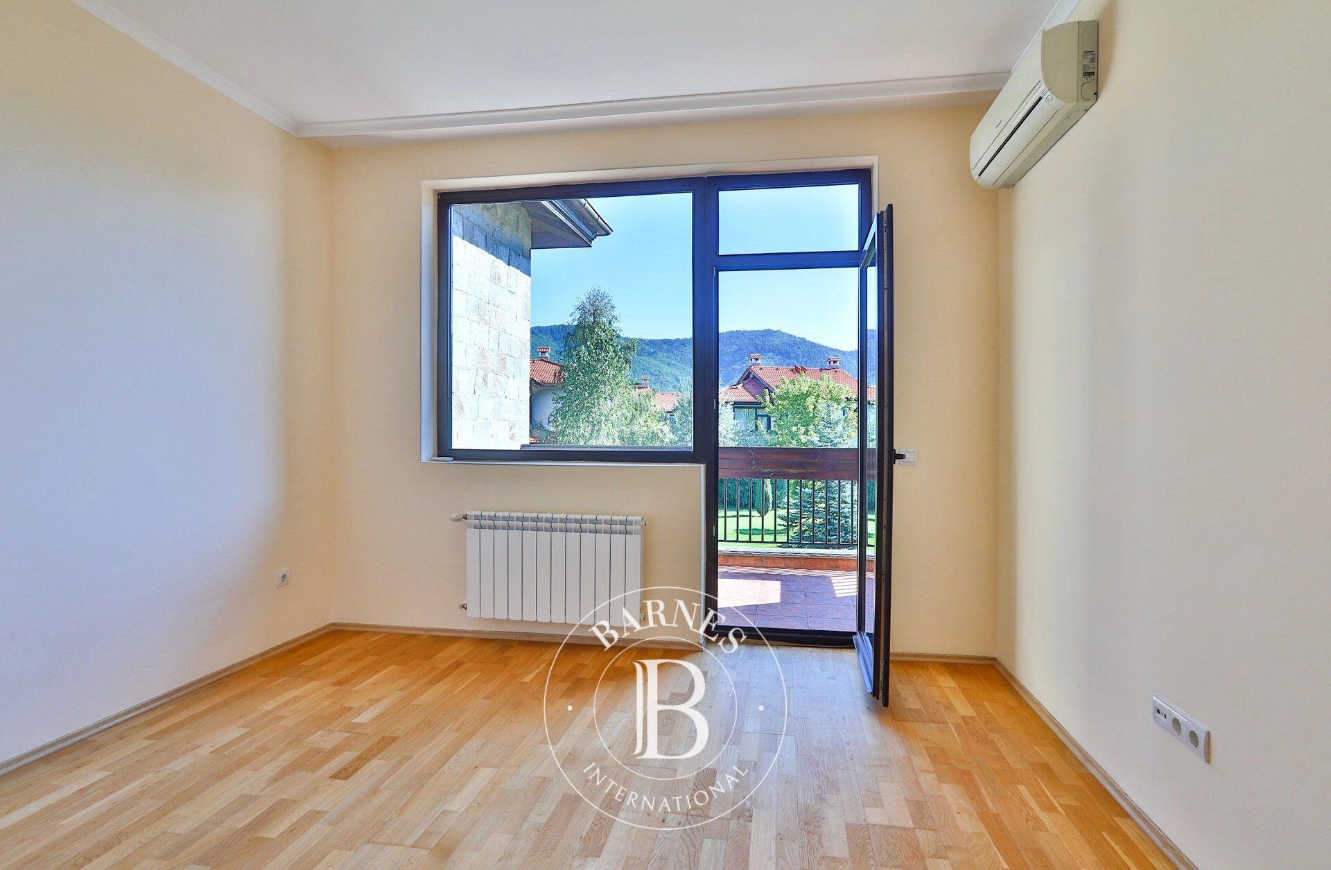 Ev Pravets - picture 11