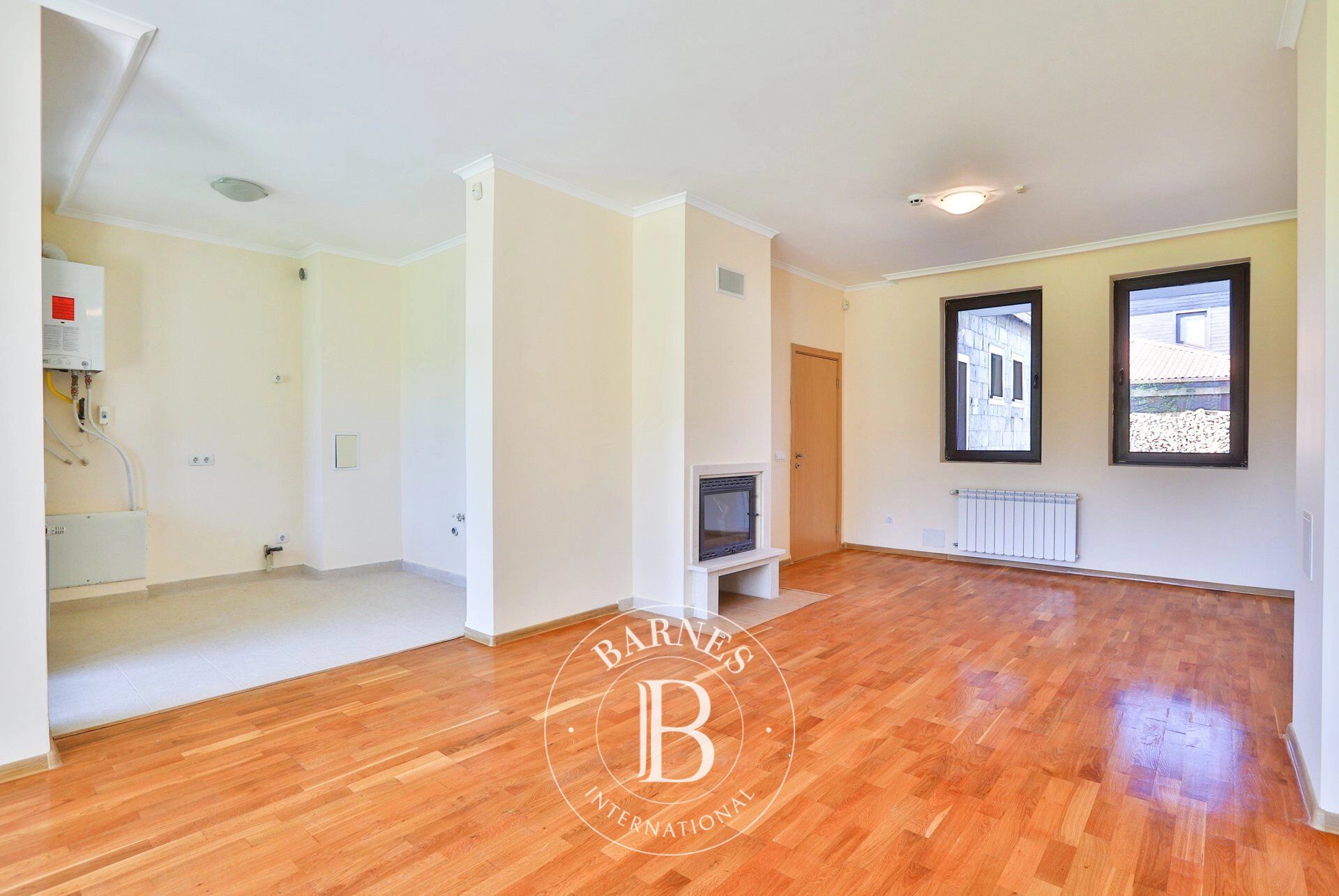 Ev Pravets - picture 5