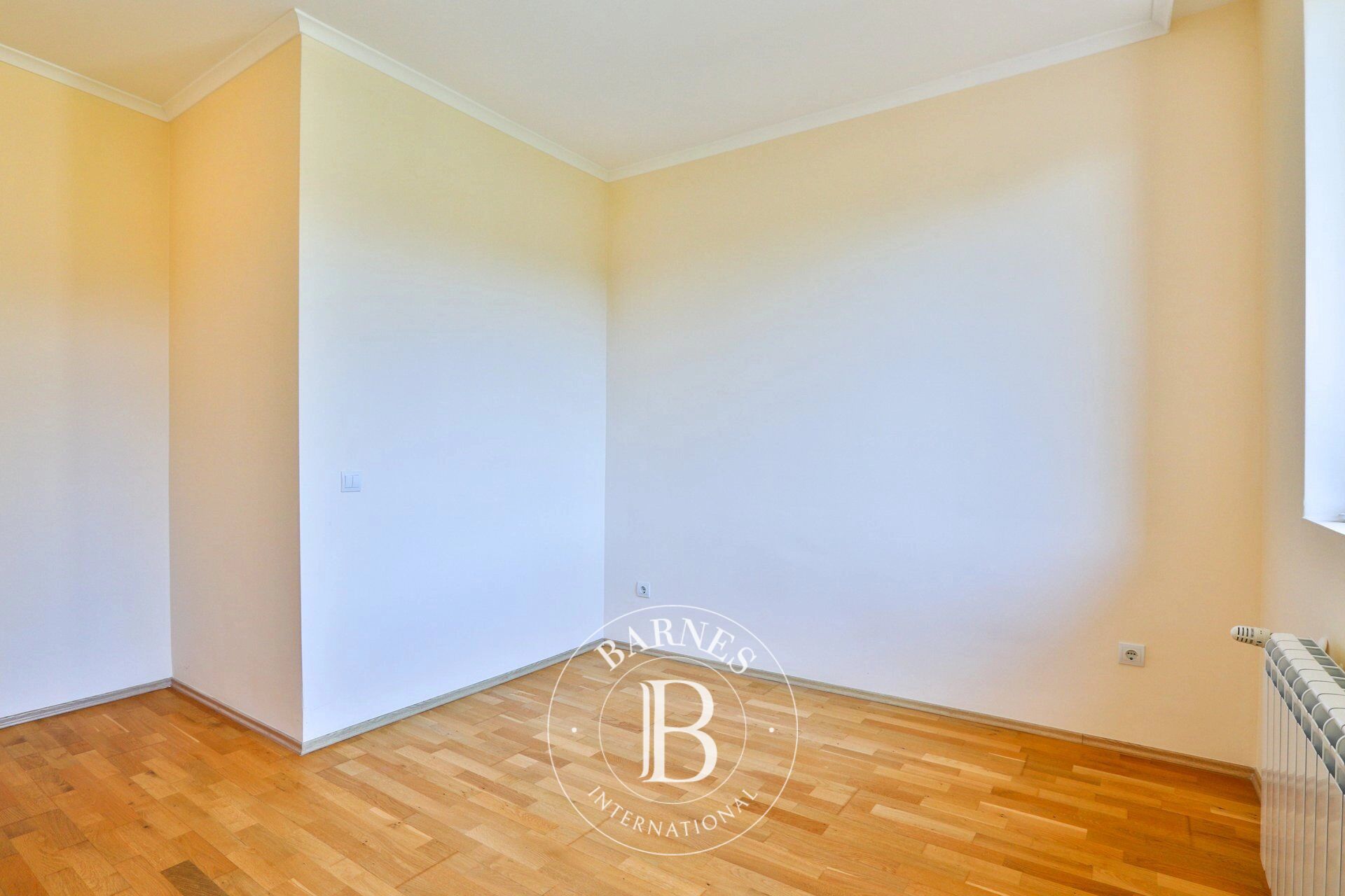 Ev Pravets - picture 14