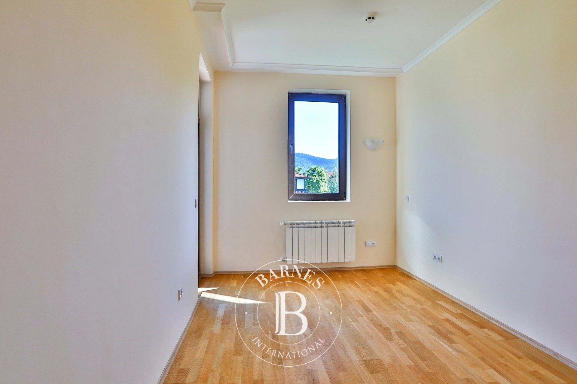 Ev Pravets - picture 15