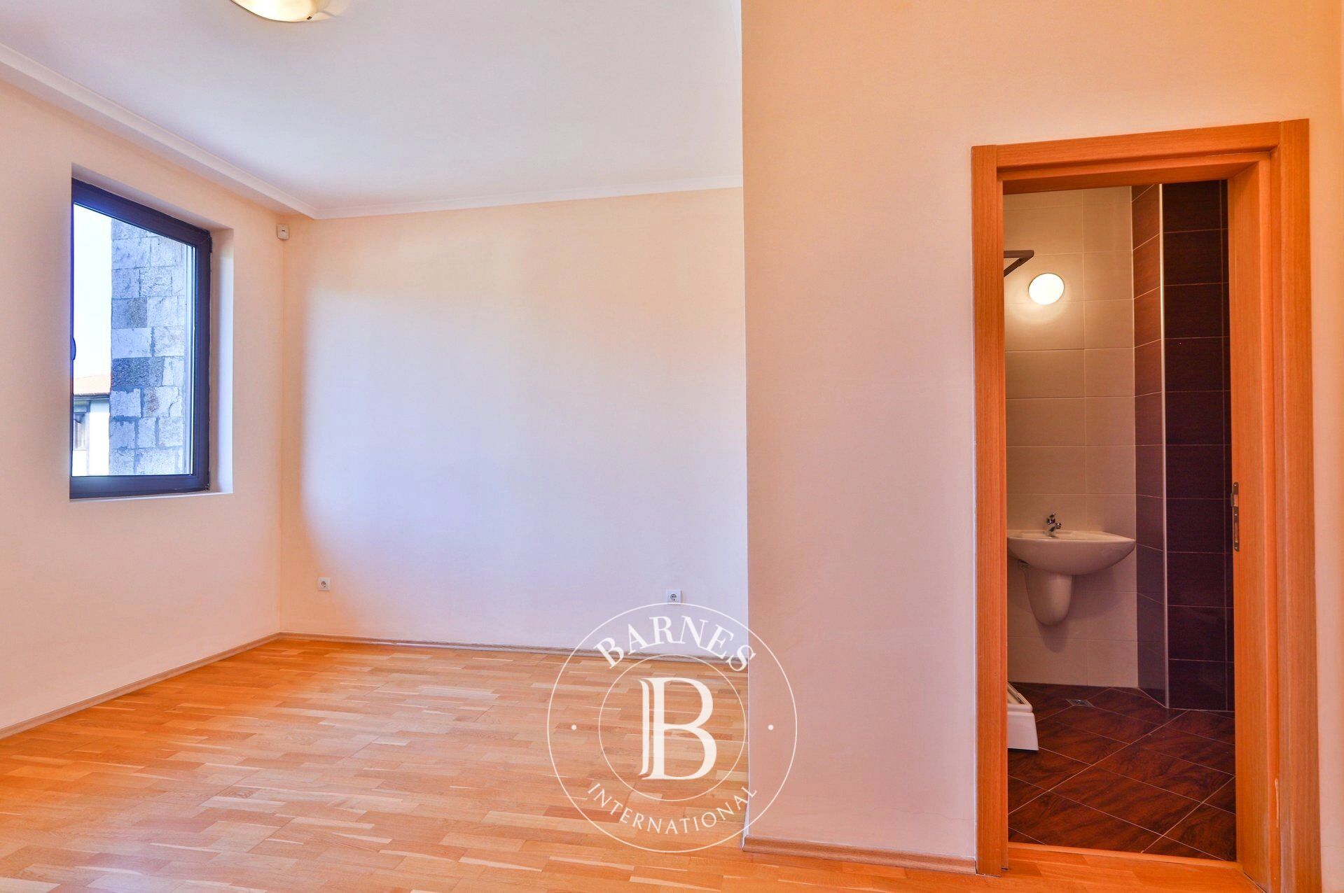 Ev Pravets - picture 8