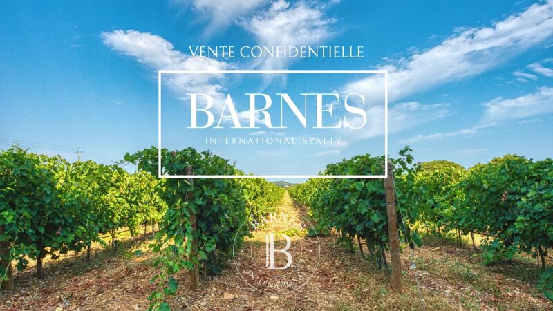 Venta, Viñedo Boutenac