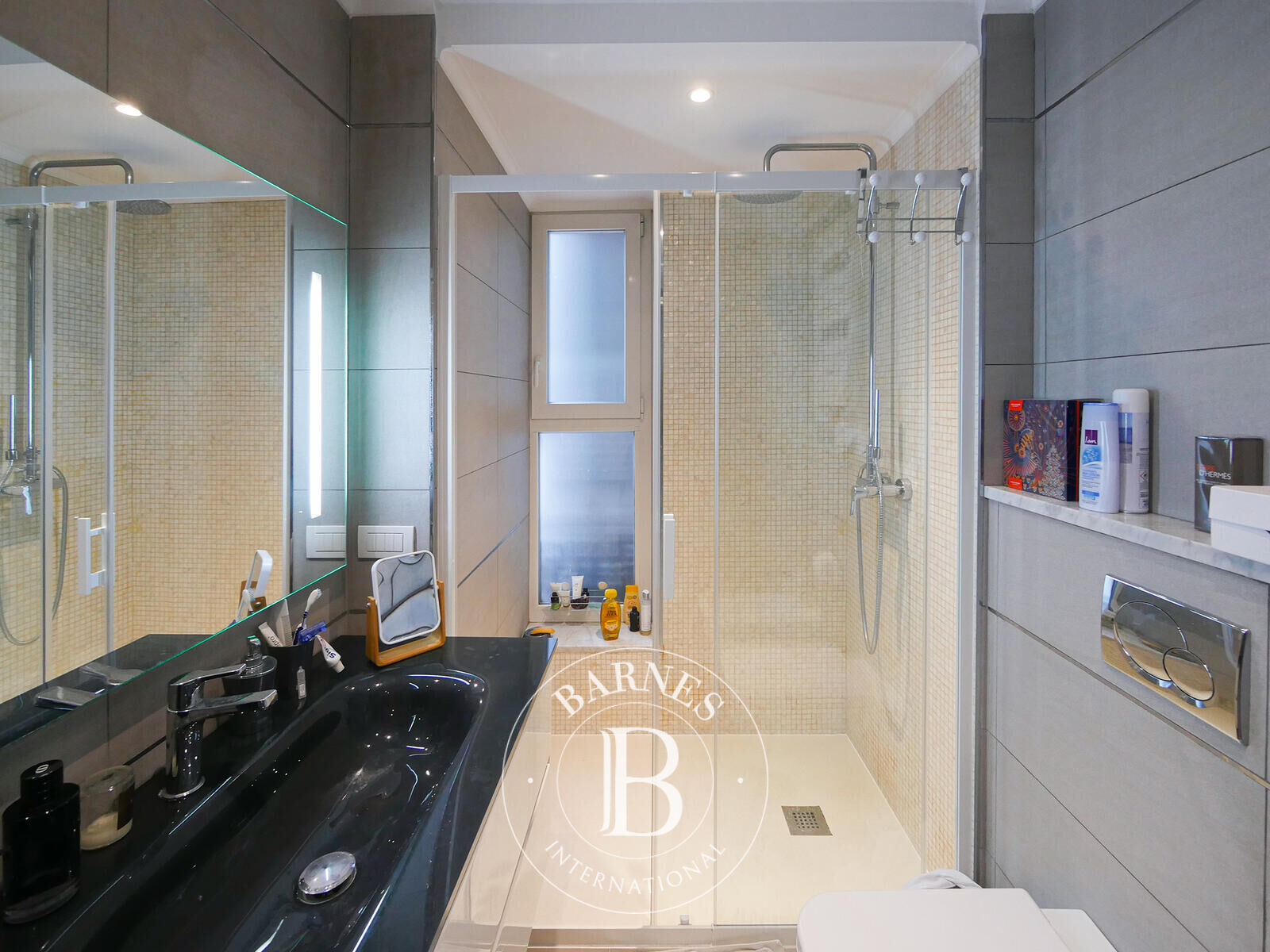 Daire Monaco - picture 4