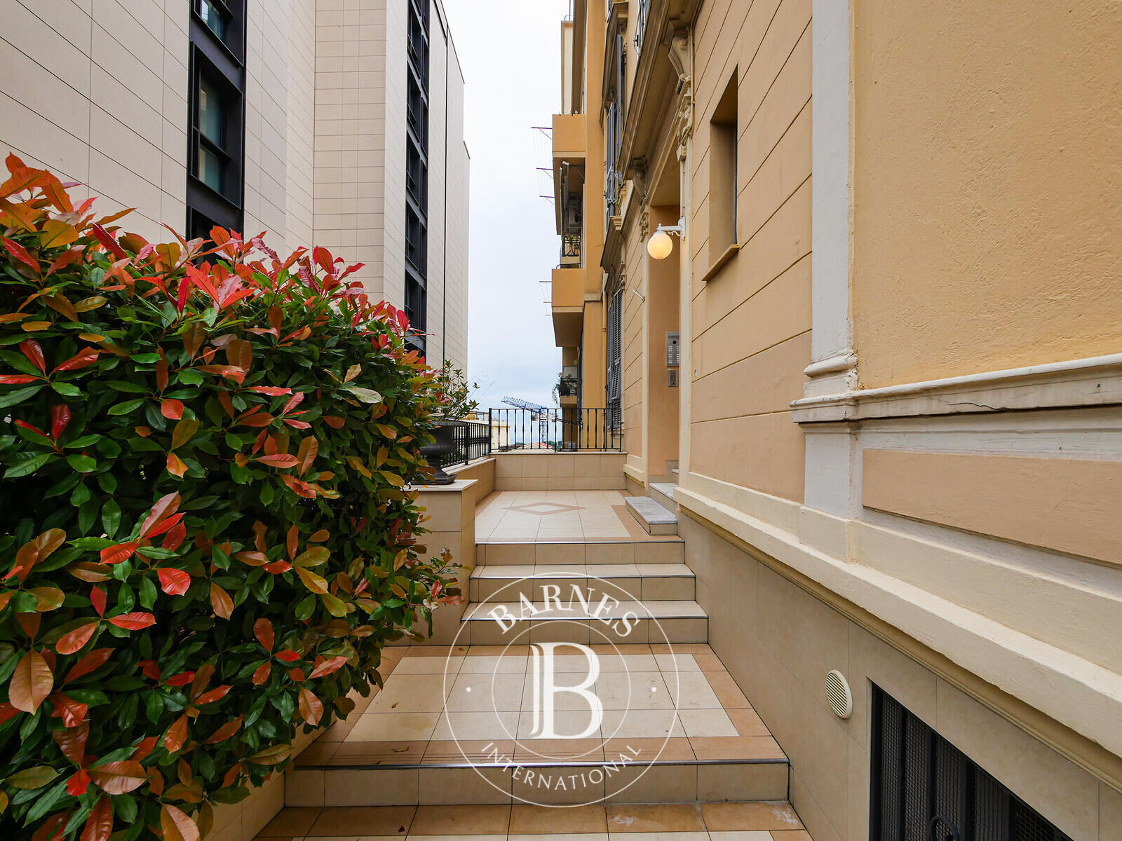 Daire Monaco - picture 6