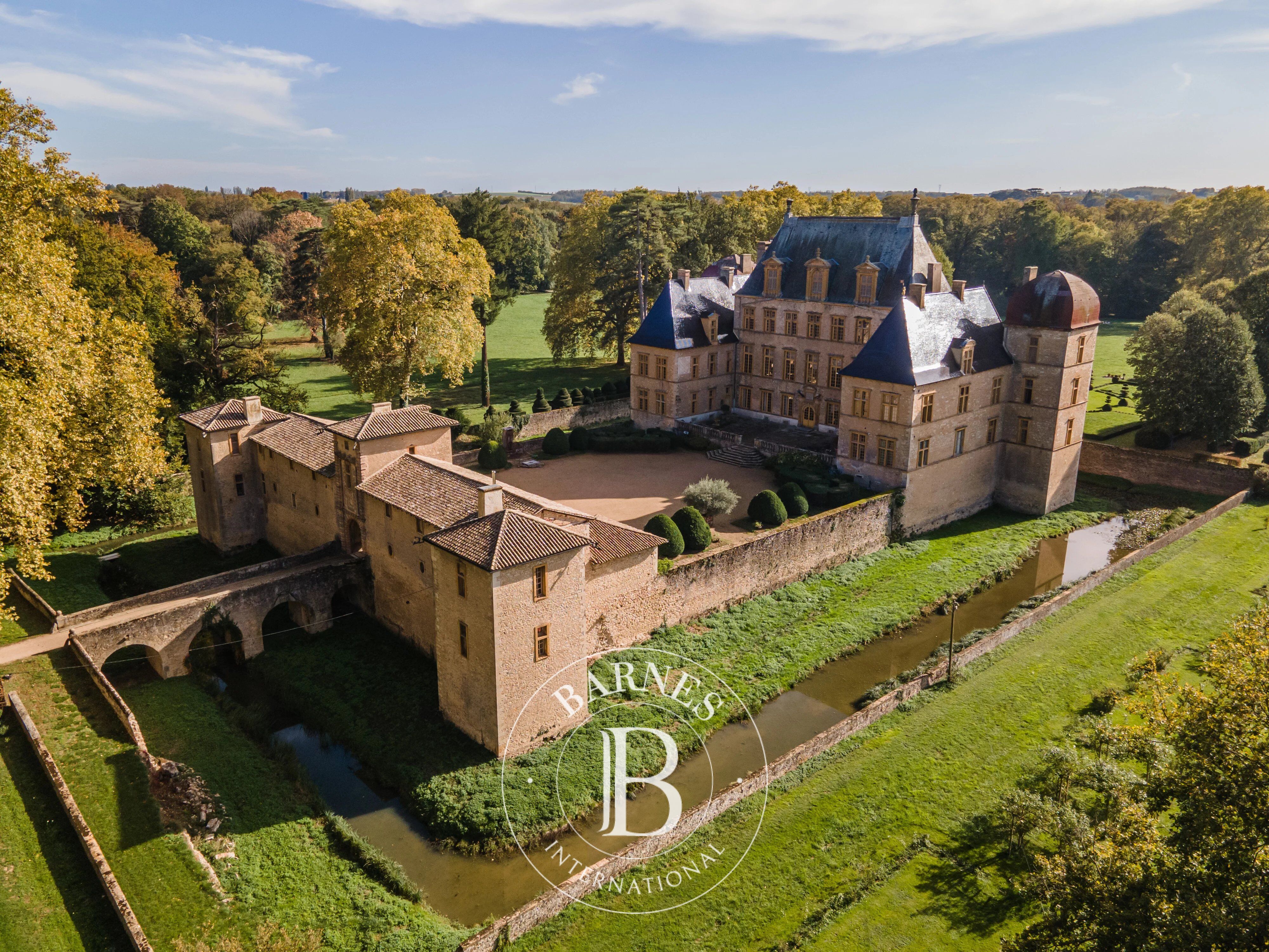 Castello Fareins - picture 1