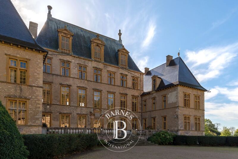 Vendita Castello | Fareins - picture 3