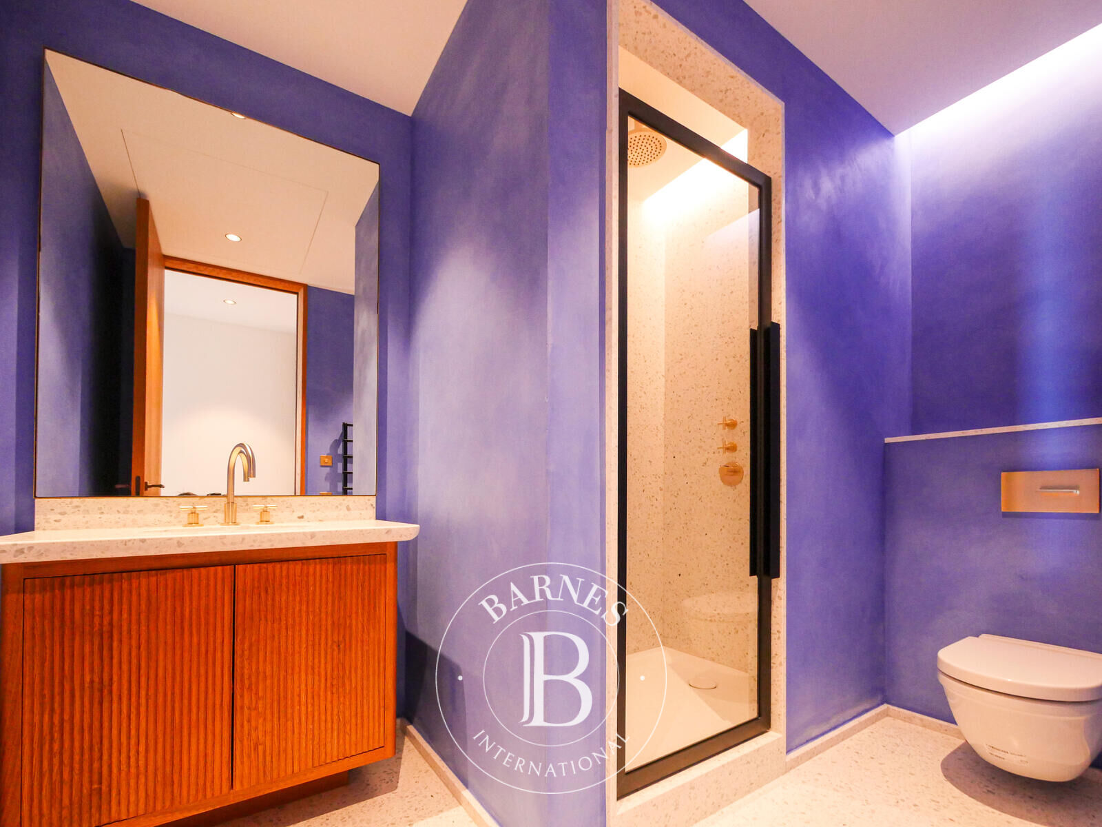 Daire Monaco - picture 8