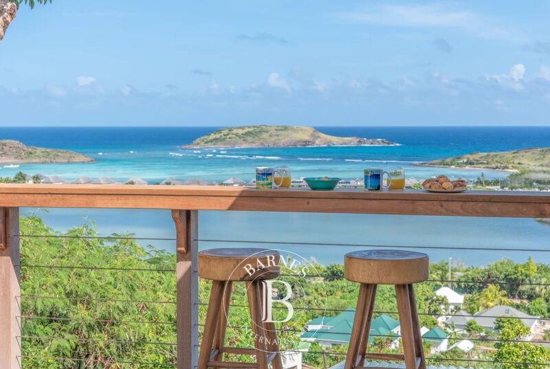 Affitto Villa | Petit Cul-de-Sac - picture 1