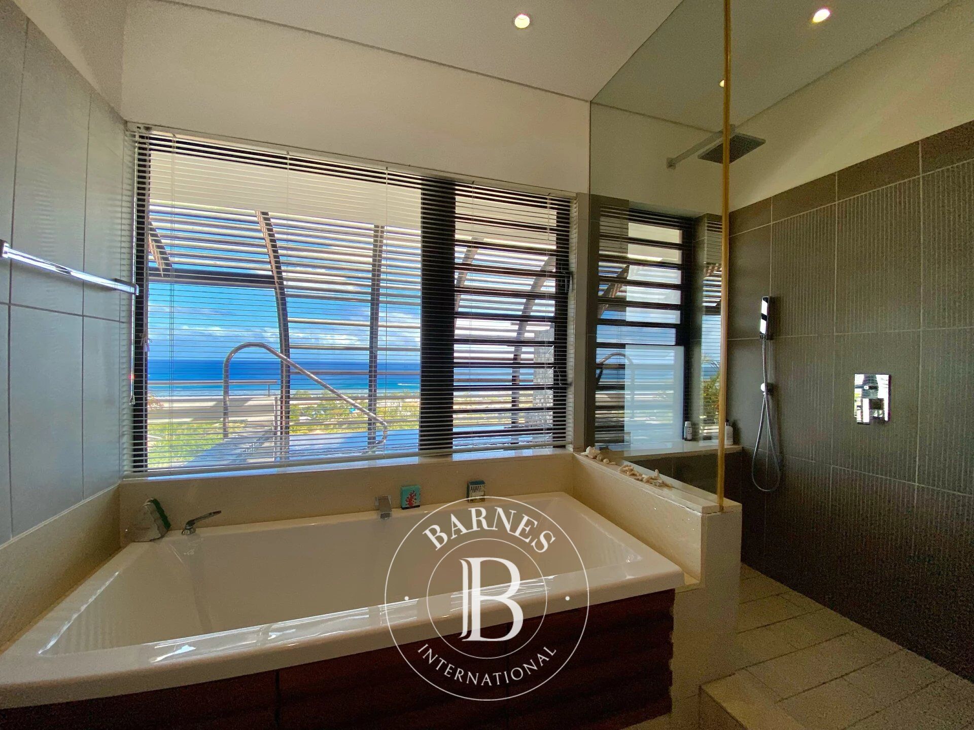 Penthouse Tamarin - picture 10