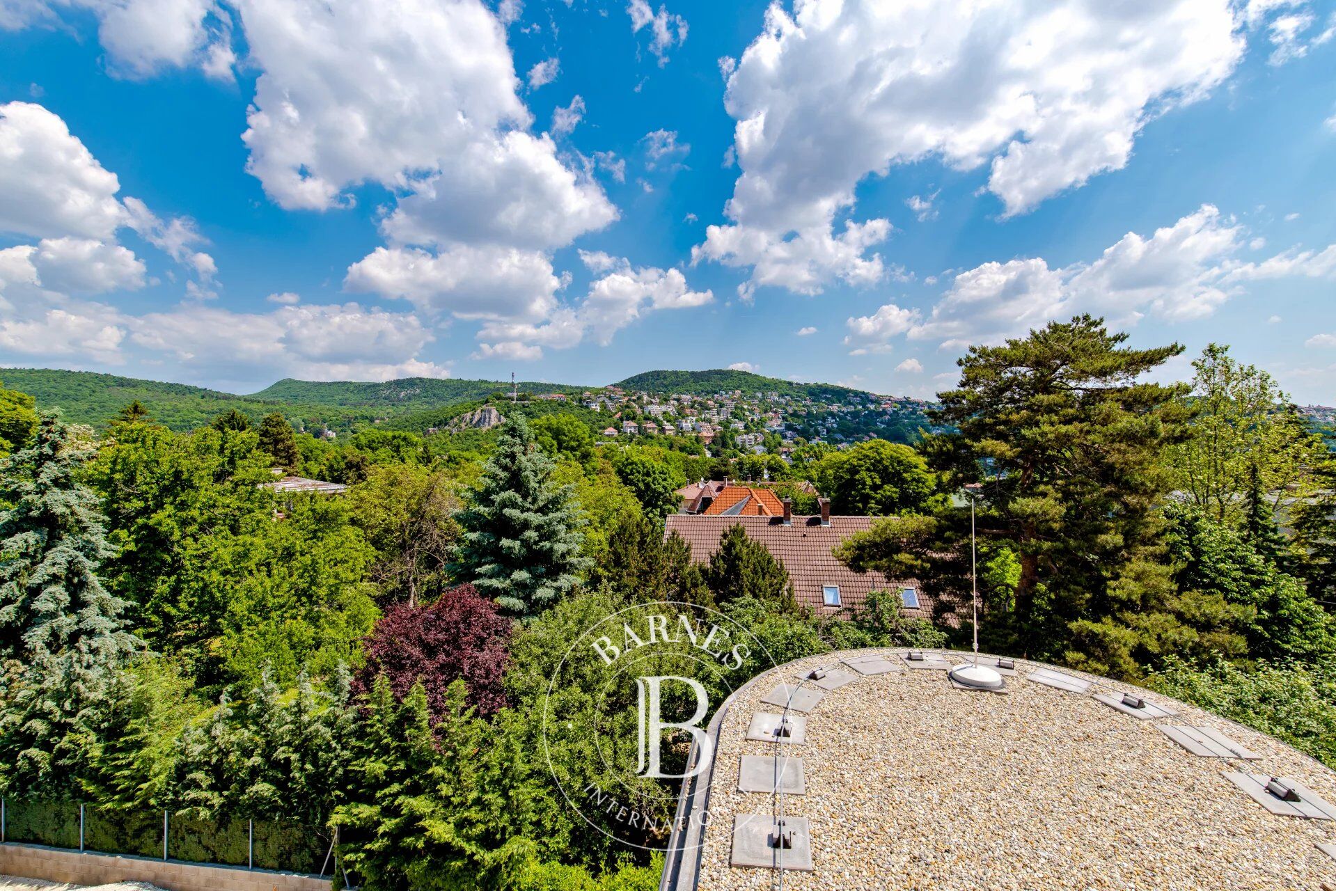 Penthouse apartment in a modern Bauhaus villa - picture 1