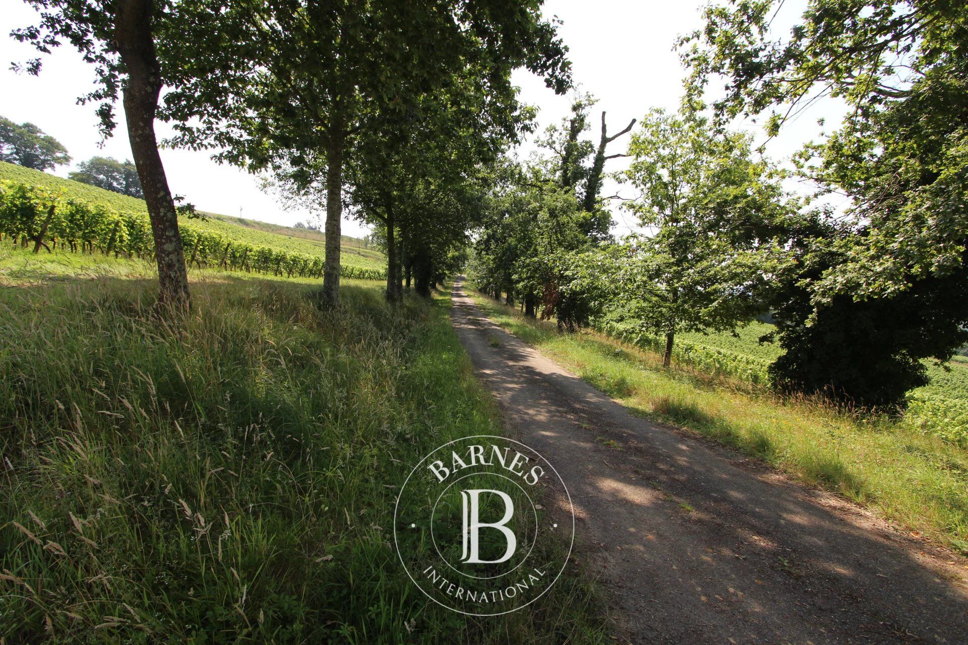 Proprietà Garlin - picture 2