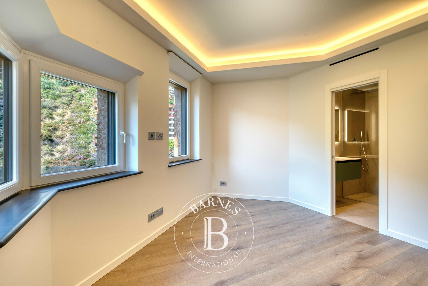 Daire Monaco - picture 4