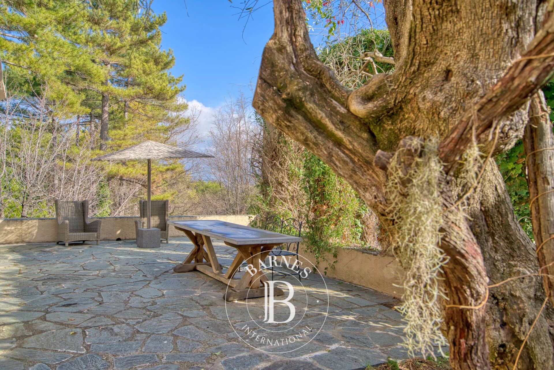 Ev Mouans-Sartoux - picture 4