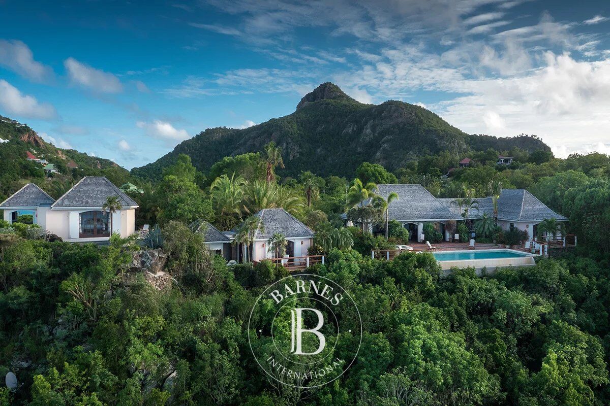 Villa Petite Saline - picture 1