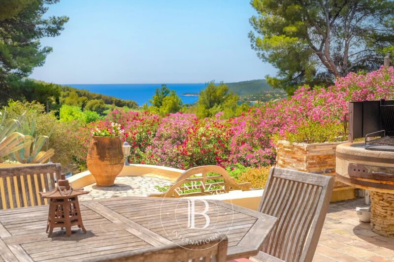 Venta, Finca Cassis - picture 2