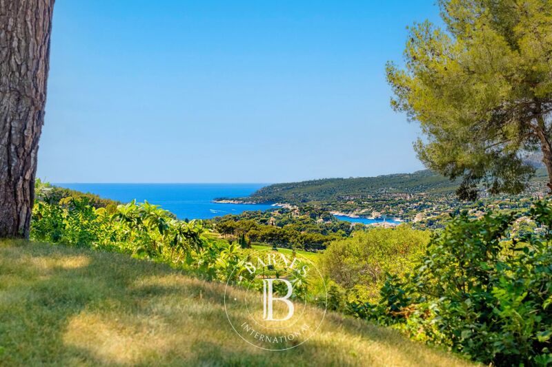 Venta, Finca Cassis - picture 1