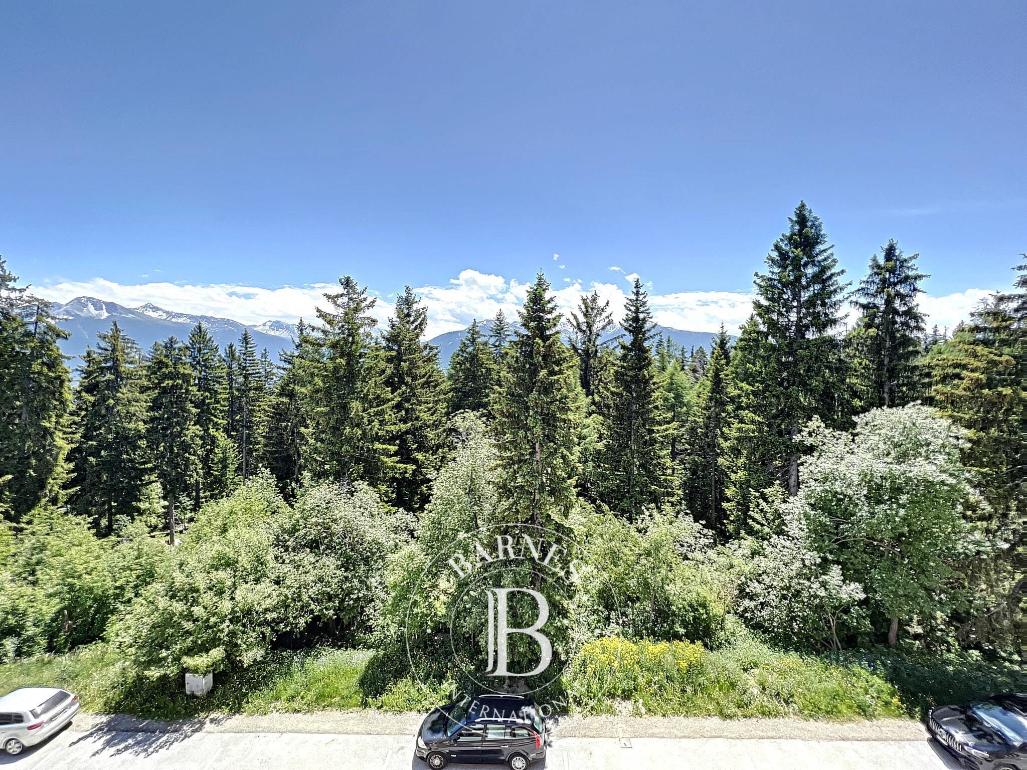 Penthouse Crans-Montana