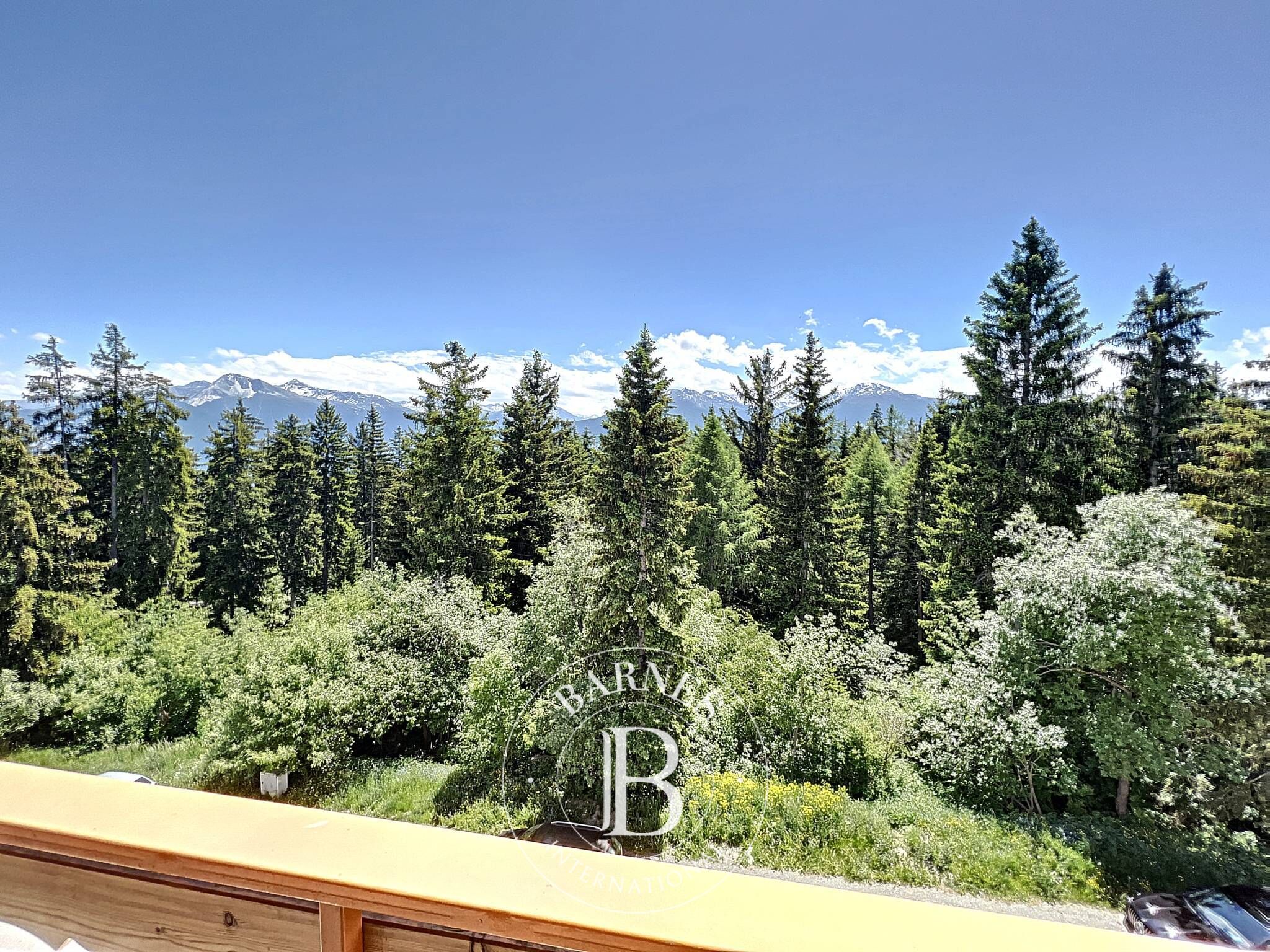 Penthouse Crans-Montana - picture 28