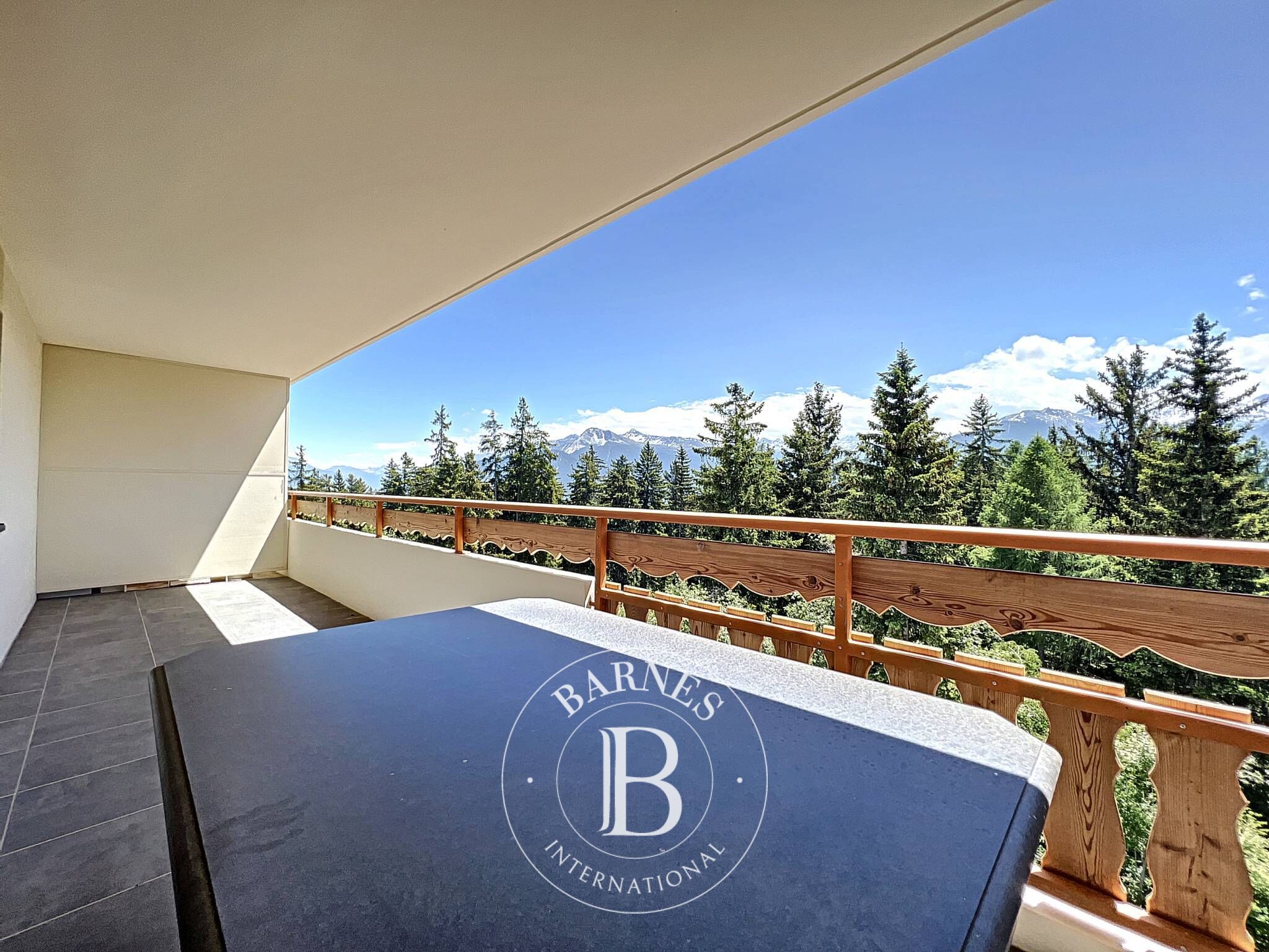 Penthouse Crans-Montana - picture 26