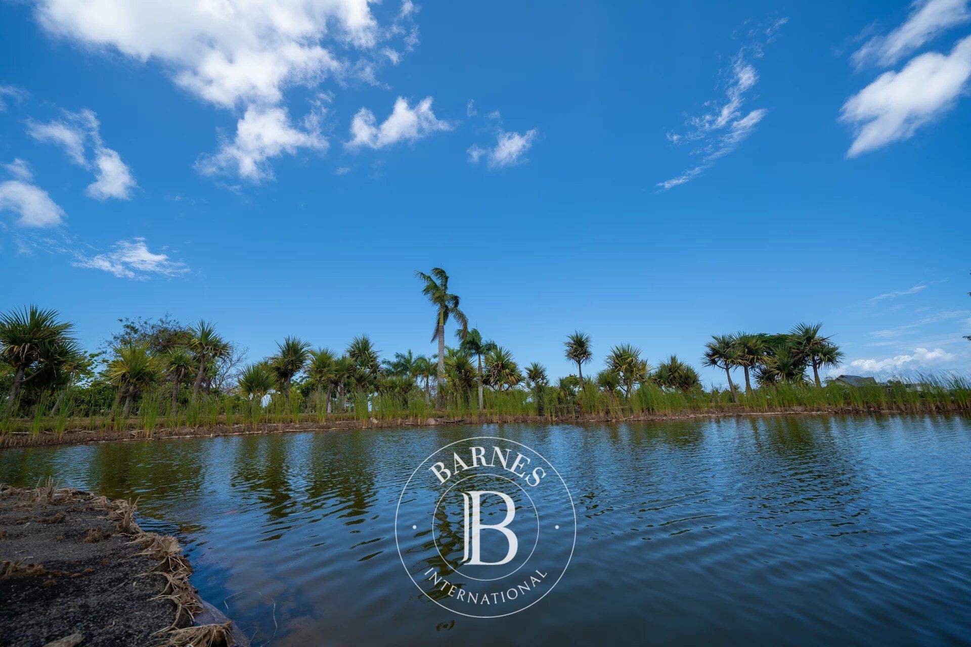 Villa Balaclava - picture 16