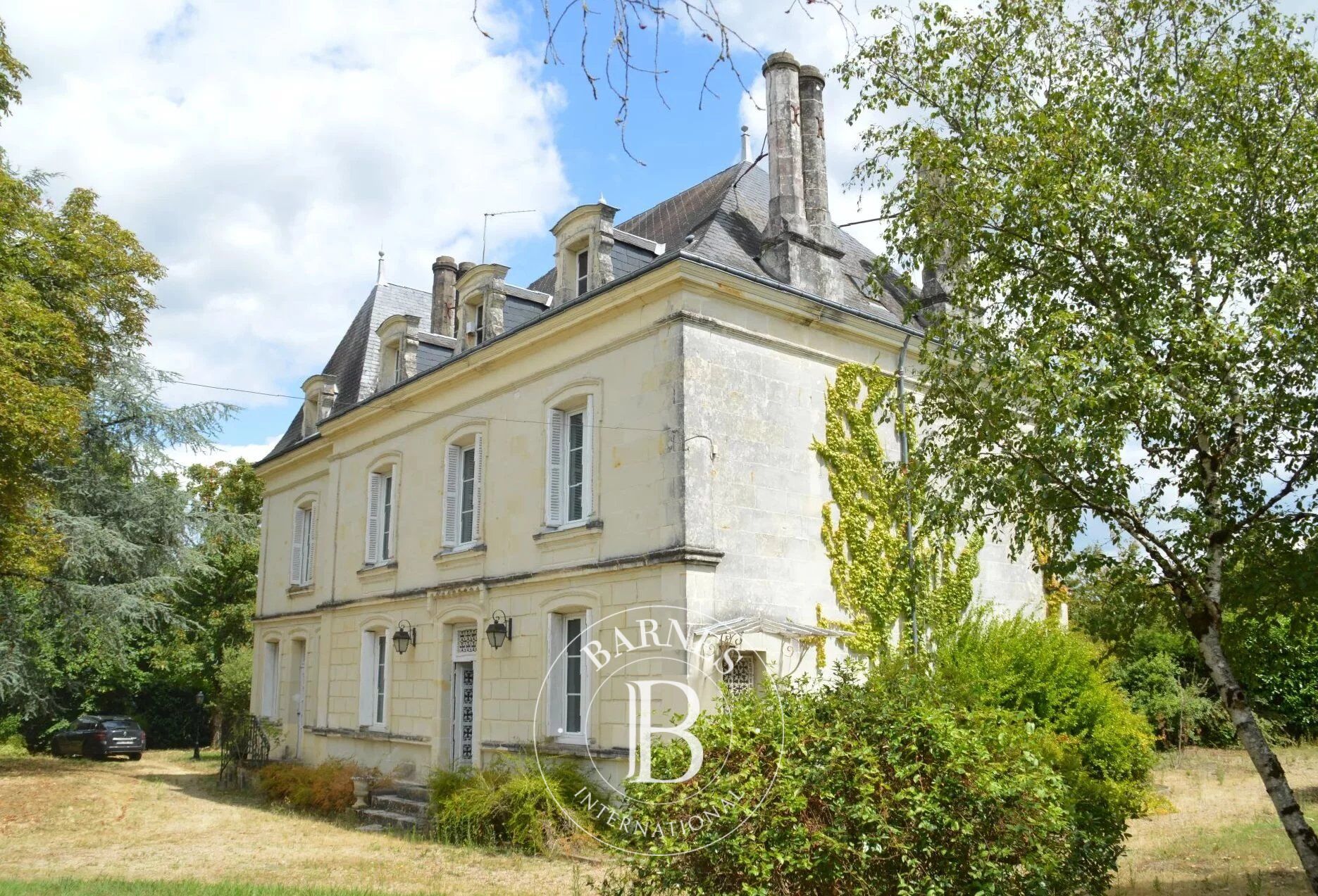 Close to Châtellerault - 19th century mansion house with swimming and enclosed garden - picture 1