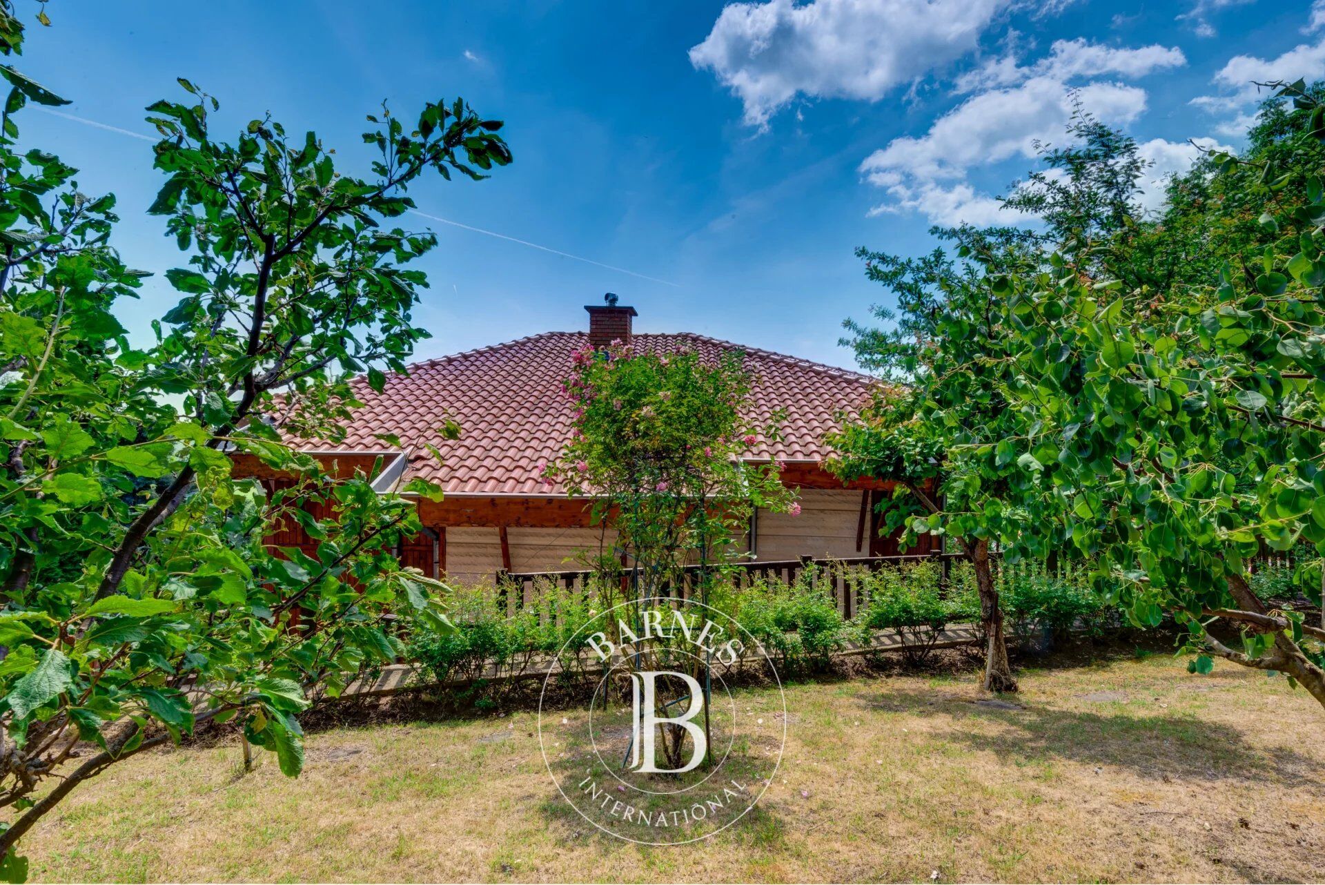 Ev Rogachevo - picture 34