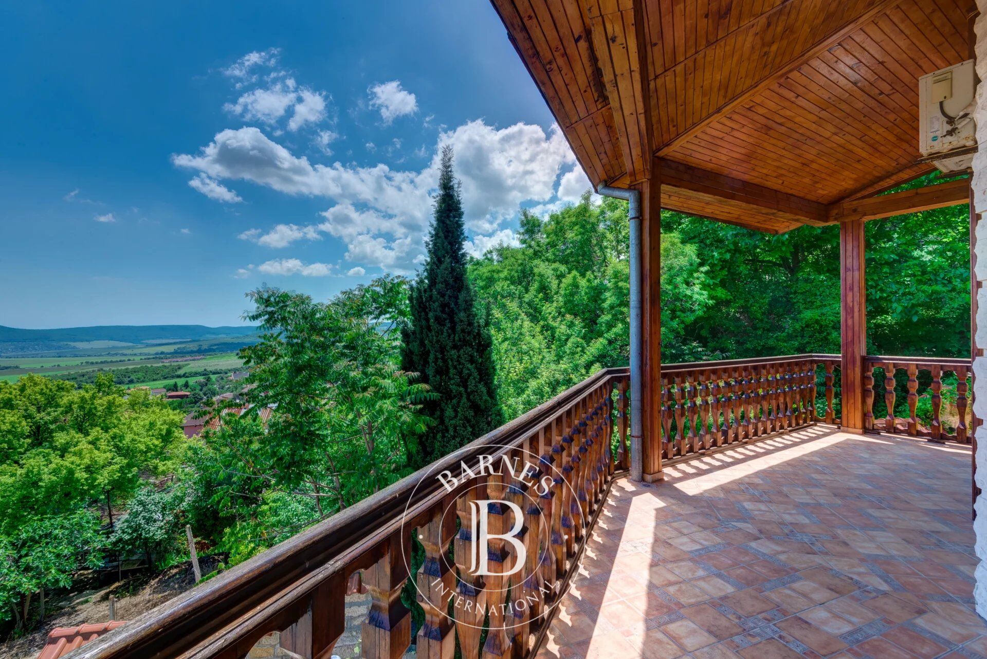 Ev Rogachevo - picture 20